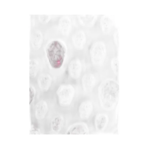Skull Printed Finished Edges Scarf