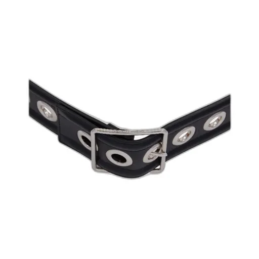 Eyelet Detailed Buckled Belt