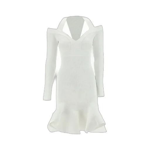 Ruffle Detailed Flared Mini Dress