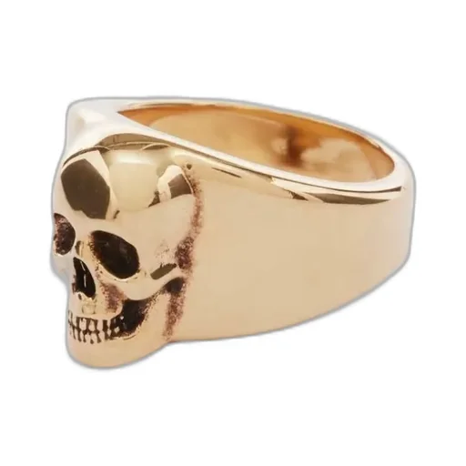 Skull Signet Logo Detailed Ring