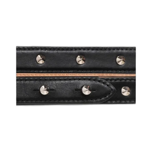 Stud Embellished Belt