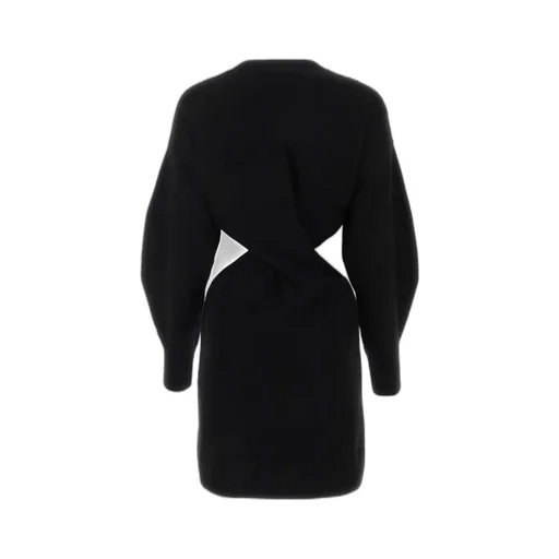 Crewneck Long-Sleeved Dress