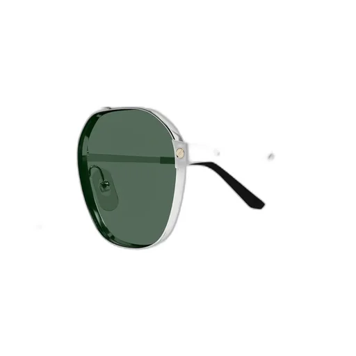 Full Frame Sunglasses