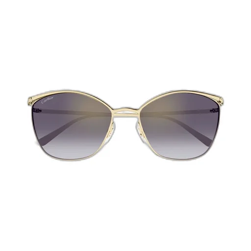 Full Frame Sunglasses