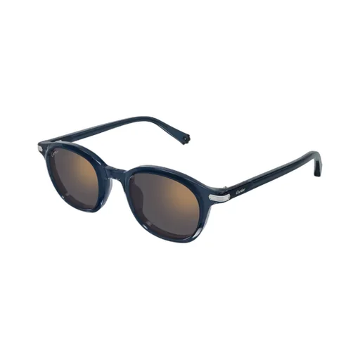 Oval Frame Sunglasses