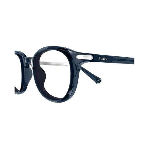 Oval Frame Sunglasses