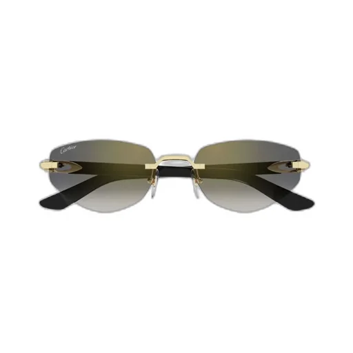 Oval Frame Sunglasses