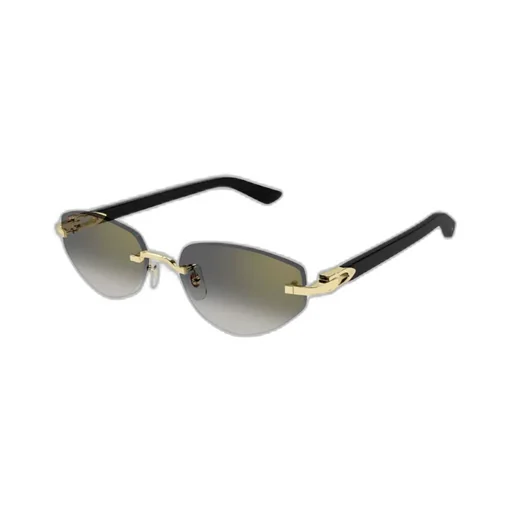 Oval Frame Sunglasses