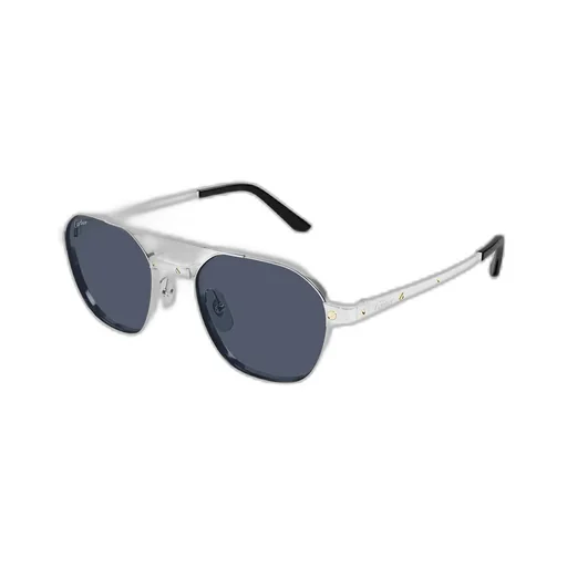 Full-Frame Sunglasses