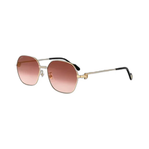 Full Frame Sunglasses