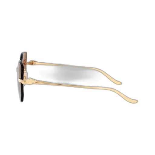 Rectangular Sunglasses