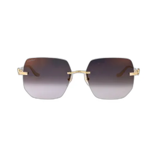 Rectangular Sunglasses