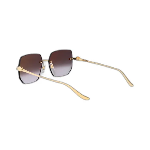 Rectangular Sunglasses