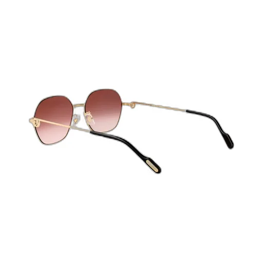 Full Frame Sunglasses