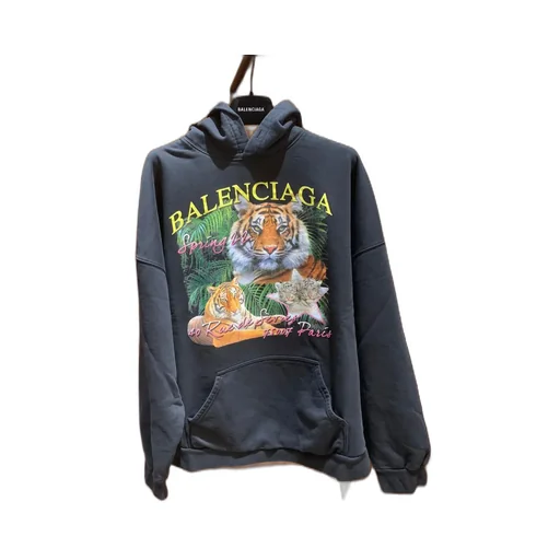 Tiger Graphic Printed Hoodie