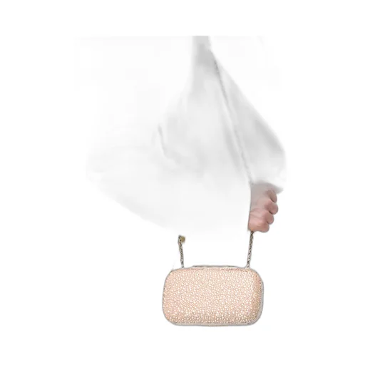 Skull Embellished Chained Clutch Bag