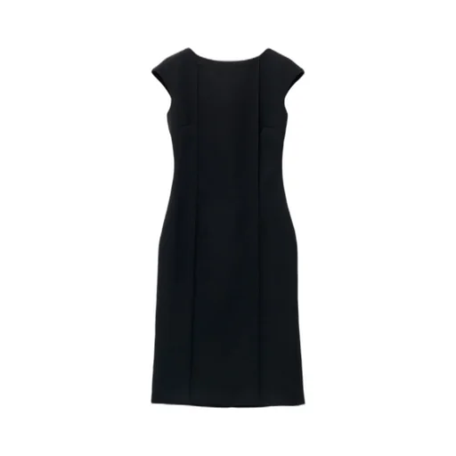 Crewneck Sleeveless Mini Dress
