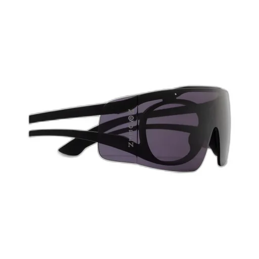 Oval Frame Sunglasses
