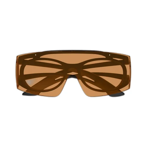 Oval Frame Sunglasses