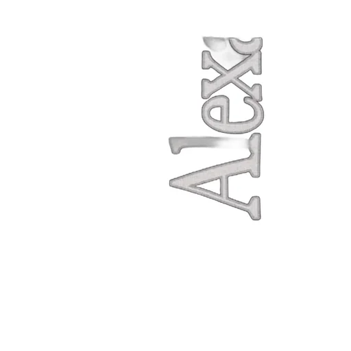 Logo Printed Fringed Scarf