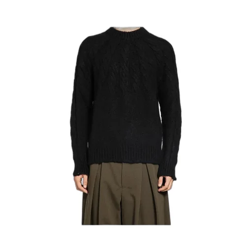 Cable-Knit Crew-Neck Sweater