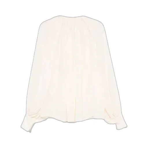 Translucent Blouse