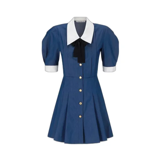 Pleated Mini Dress