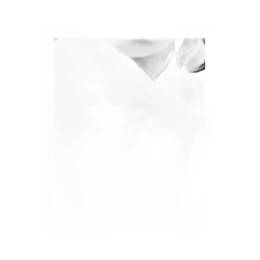 Ruffled Cotton Shirt