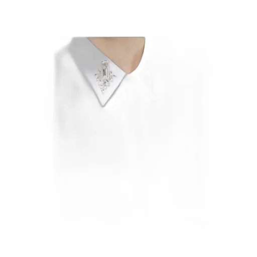 Long Sleeved Embellished Shirt