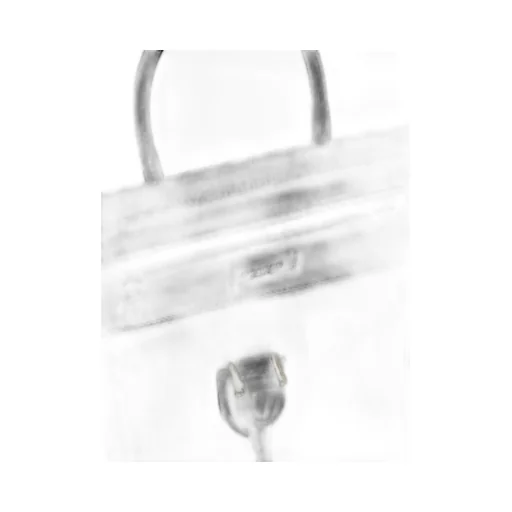 Large Birdee Tote Bag