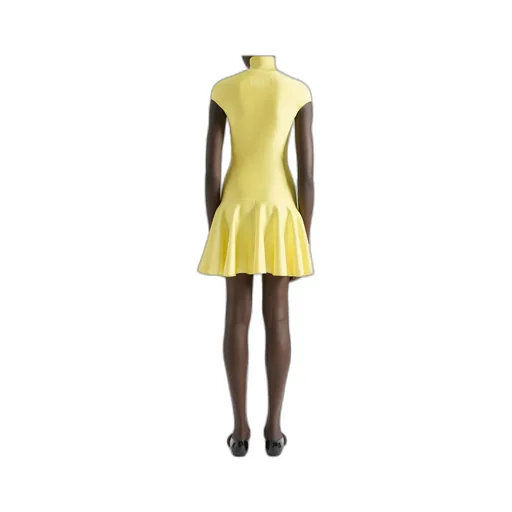 Flared Mini Dress