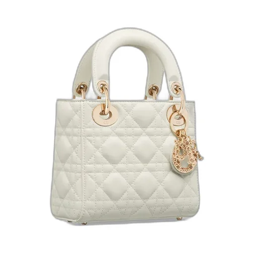 Mini Lady Dior Bag