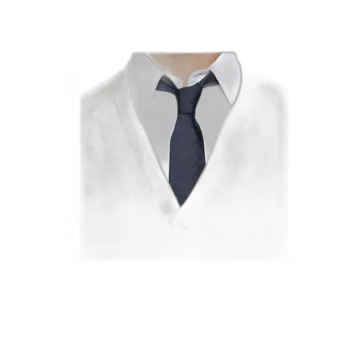 4-Bar V-Neck Knitwear