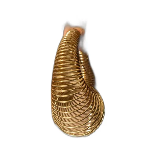 Spiral Earrings