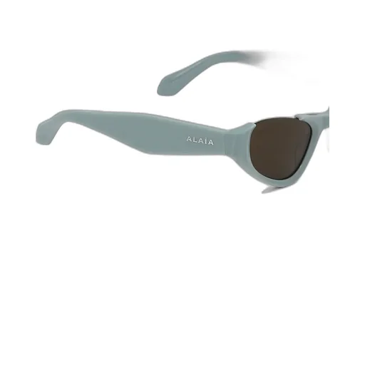 Cat's Eye-Shaped Sunglasses