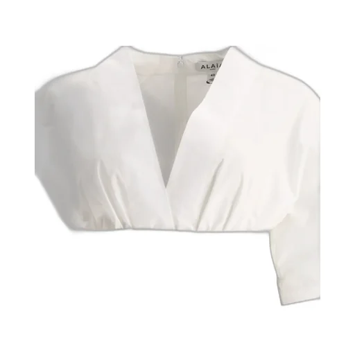 A-Line Pleated Dress