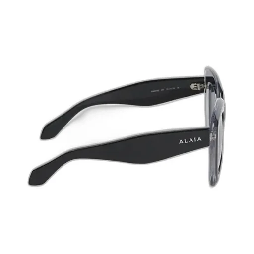 Oversized Frame Sunglasses