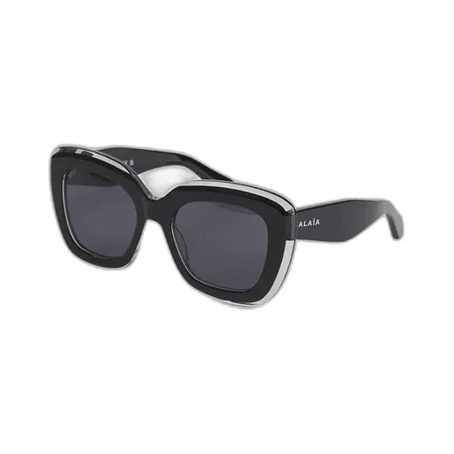 Oversized Frame Sunglasses