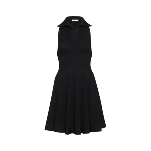 Skater Polo Dress