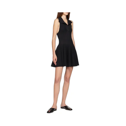 Skater Polo Dress