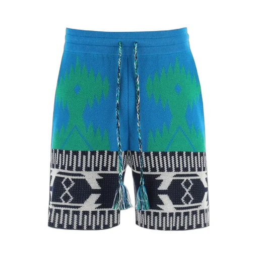 Intarsia Motif Drawstring Shorts