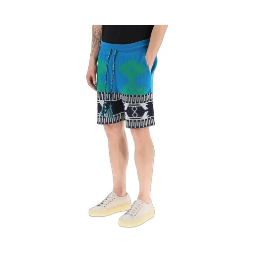 Intarsia Motif Drawstring Shorts