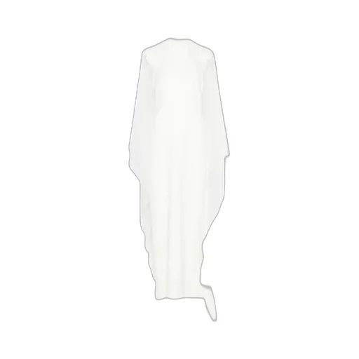 Long-Sleeved Dress