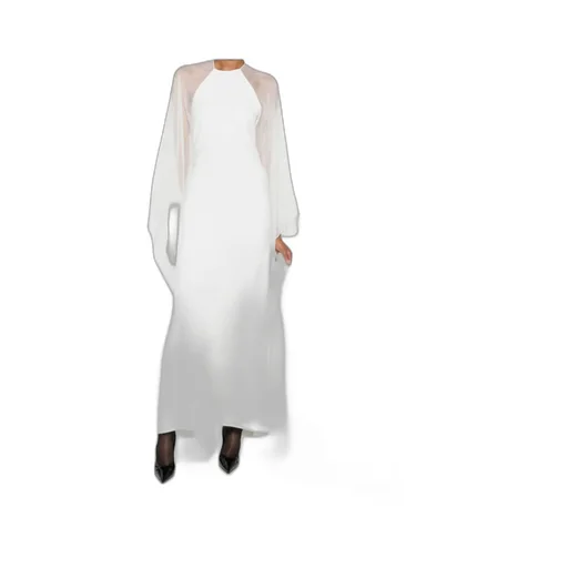 Long-Sleeved Dress