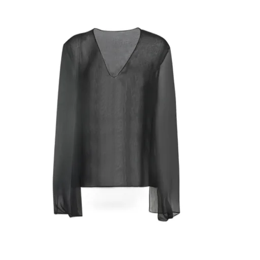 V-Neck Sheer Blouse