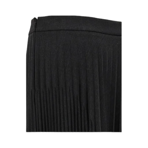 Pleated Long Skirt