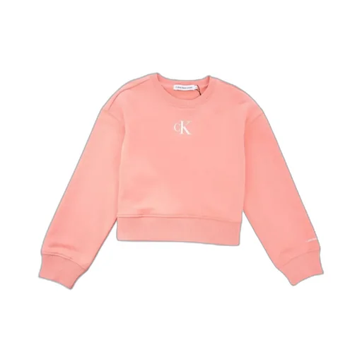 Ck Logo Crewneck Sweatshirt