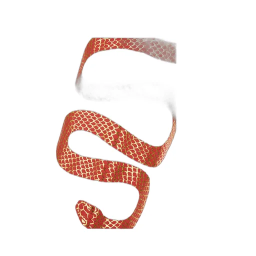 Snake-Print Hoodie