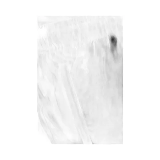 Logo-Print Swim Shorts