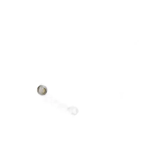 Pearl Embellished Necklace